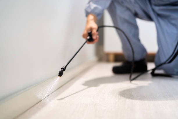 Licensed Pest Control service in Albany, CA - Show Me Pest Control
